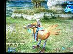 chocobo.jpg